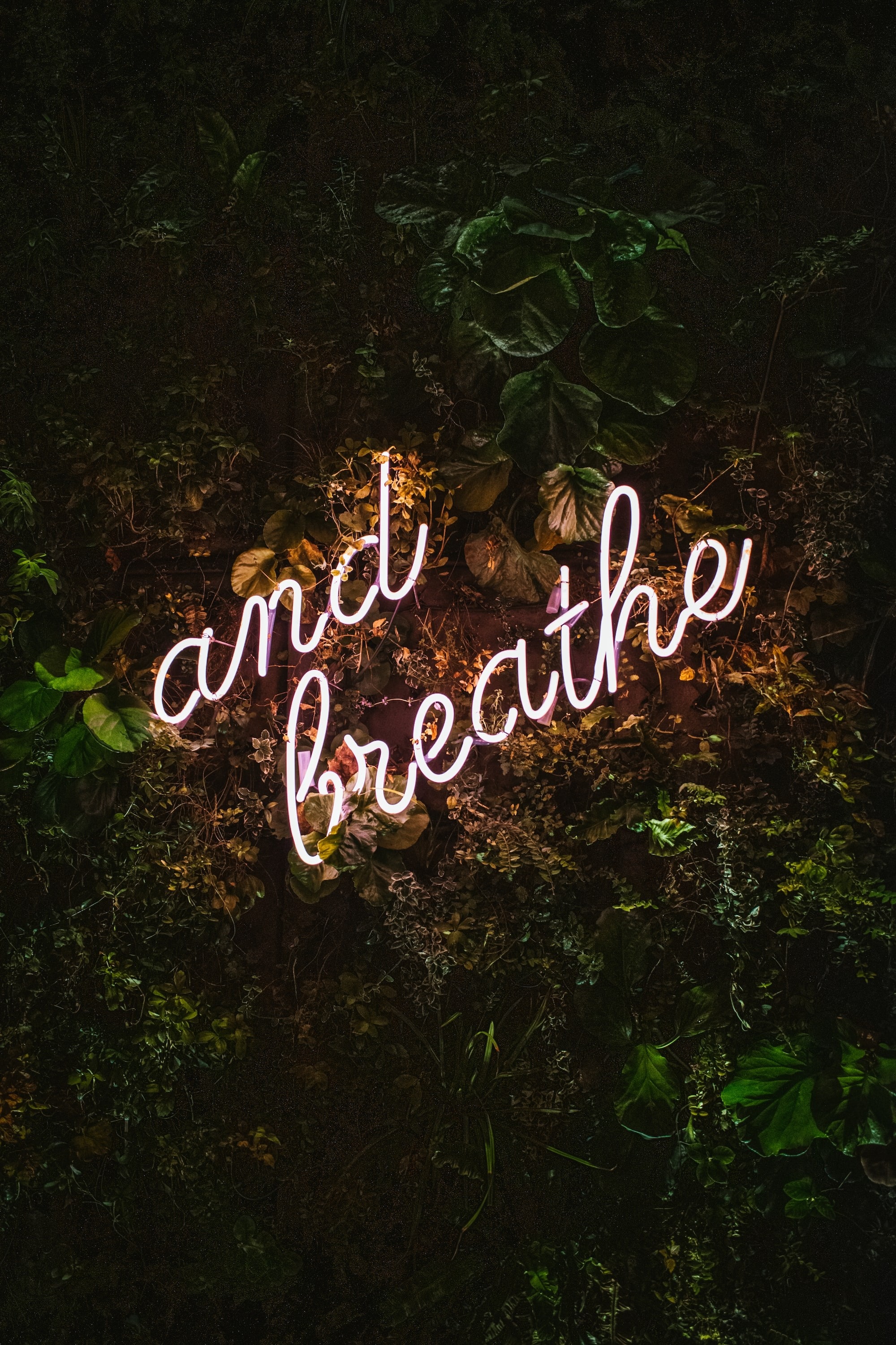 "and breathe" simple self-care tip to just take 5 minutes and do some breathing work. 