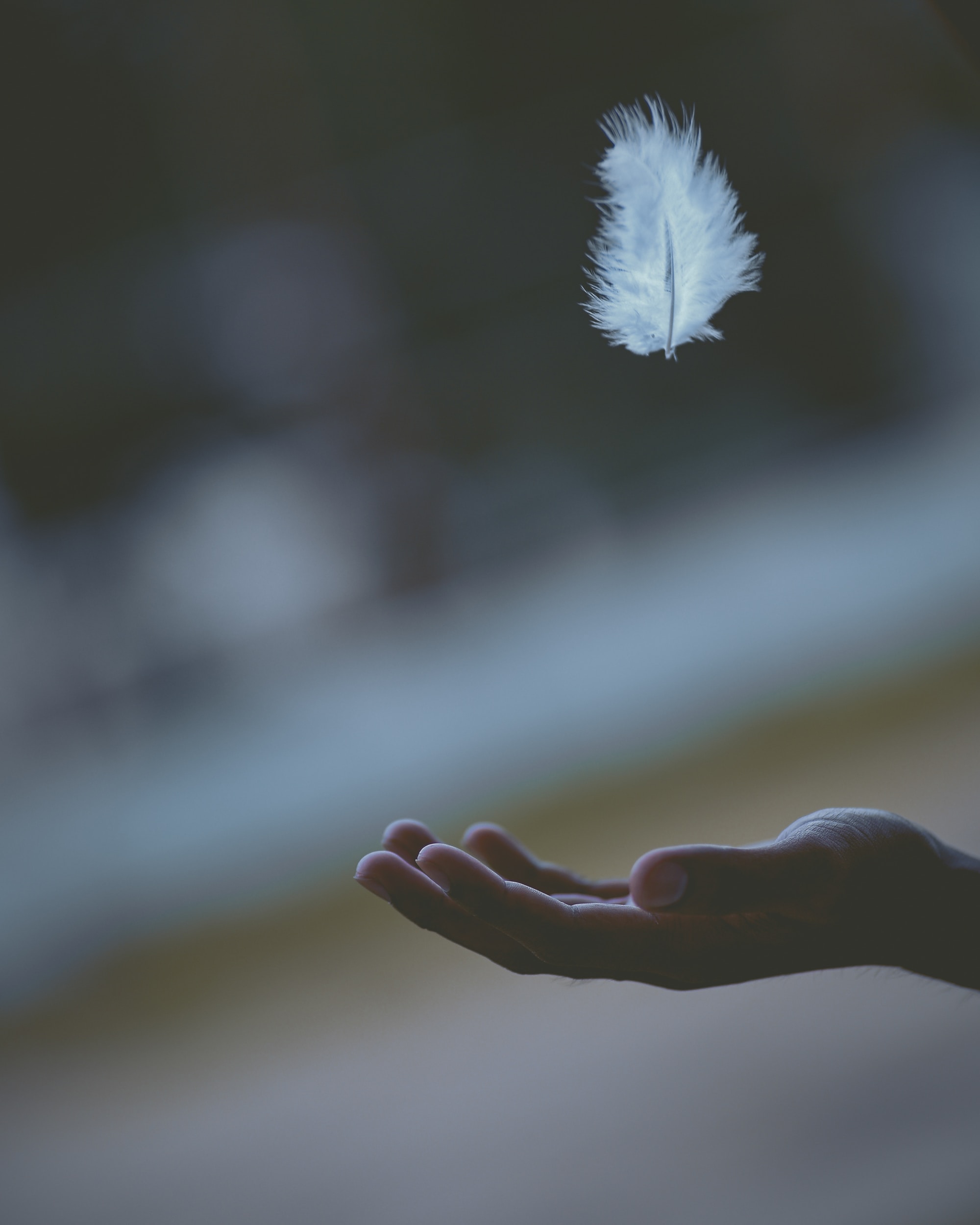 A feather falling into the palm of a hand.